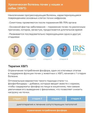 Prorentin Feed additive for cats and dogs 60 grams - Buy Online on GoSupps.com