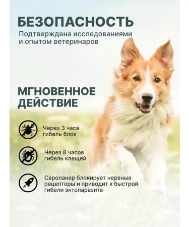 Zoetis Simeparika 10 mg 3tab for puppies adult dogs 2.5 - 5 kg - Buy Online on GoSupps.com