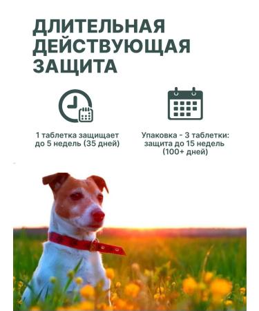 Zoetis Simeparika 10 mg 3tab for puppies adult dogs 2.5 - 5 kg - Buy Online on GoSupps.com