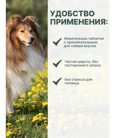 Zoetis USA RF 20 mg 3TAB Simparika 5-10 kg for dogs from tick fleas - Buy Online on GoSupps.com