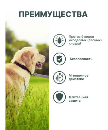 Zoetis 40 mg 3TAB USA Simeparika for dogs 10-20 kg from tick fleas - Buy Online on GoSupps.com