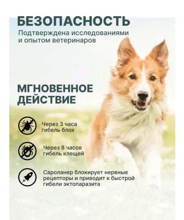 Zoetis 40 mg 3TAB USA Simeparika for dogs 10-20 kg from tick fleas - Buy Online on GoSupps.com
