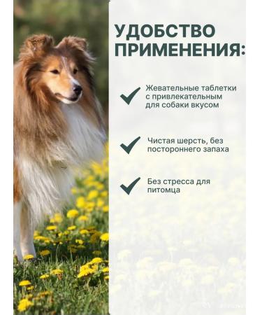 Zoetis 40 mg 3TAB USA Simeparika for dogs 10-20 kg from tick fleas - Buy Online on GoSupps.com