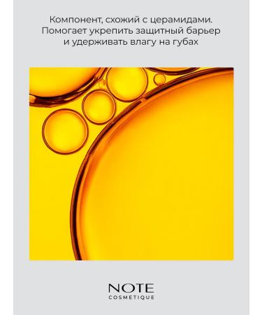 NOTE Cosmetics Velvet lipstick Iconic Matte 102 SoulMate - Buy Online on GoSupps.com