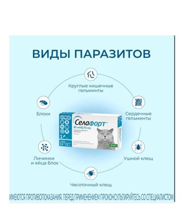 KRKA Selafort 45 mg for cats 2.6-7.5 kg - Buy Online on GoSupps.com