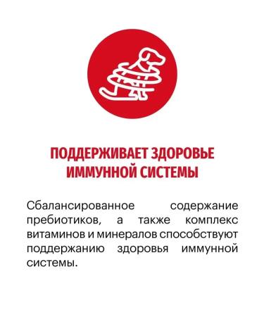 KARMY Dog feed Medium adult veal 2 kg - Buy Online on GoSupps.com