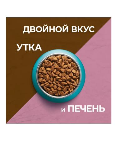 PURINA ONE Dry feed for fastidious cats duck+liver 750g. 2pcs - Buy Online on GoSupps.com