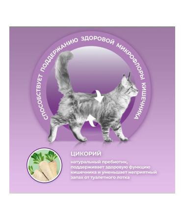 PURINA ONE Dry feed for fastidious cats duck+liver 750g. 2pcs - Buy Online on GoSupps.com