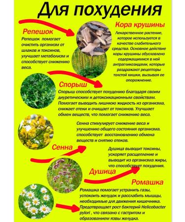 EcoTesoro Herbal Weight Loss Collection - Buy Online on GoSupps.com