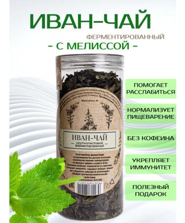 VARPA MALT Ivan the Tai Bolsolistova with Melissa