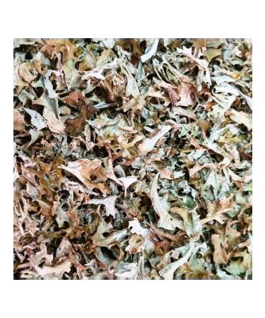 ALTAIURAL Icelandic moss