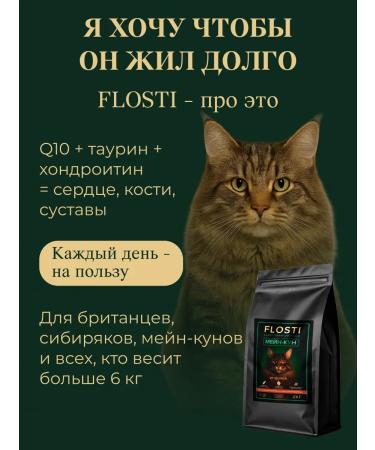 FLOSTI Dry food for large sterilized cats turkey 10 kg - Buy Online on GoSupps.com