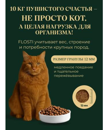 FLOSTI Dry food for large sterilized cats turkey 10 kg - Buy Online on GoSupps.com