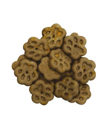 Country delicacies Dog treating cookies with lamb and pumpkin 10pcs - Buy Online on GoSupps.com