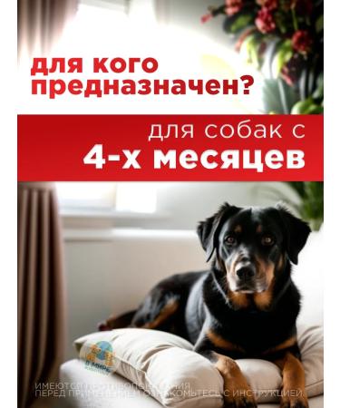 Neoterica Celandine maximum collar 65 cm black - Buy Online on GoSupps.com