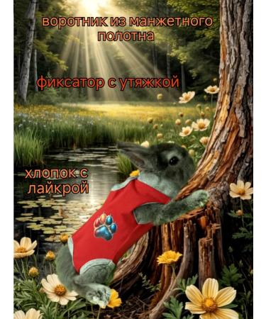 ANY PET Popona-Bodi postoperative 2xs - Buy Online on GoSupps.com