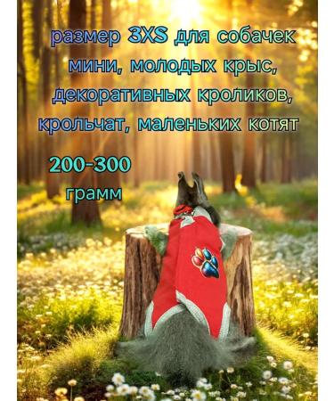 ANY PET Popona-Bodi postoperative 3XS - Buy Online on GoSupps.com