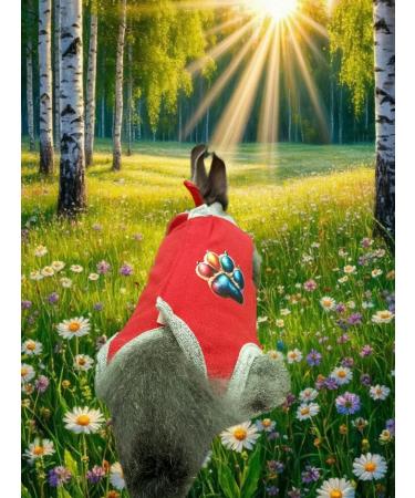 ANY PET Popona-Bodi postoperative 3XS - Buy Online on GoSupps.com