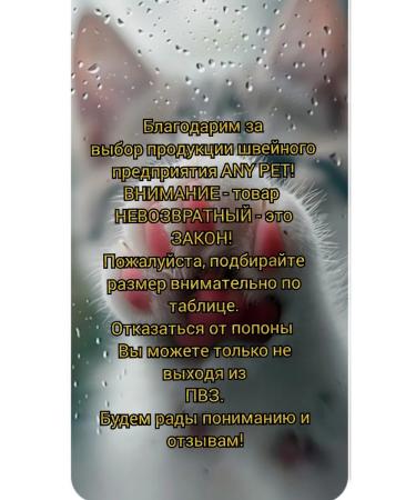 ANY PET Popona-Bodi postoperative 3XS - Buy Online on GoSupps.com