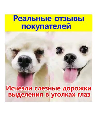 Bio drops eye drops for cats and dogs 60ml - Buy Online on GoSupps.com