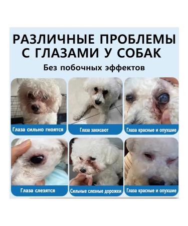 Bio drops eye drops for cats and dogs 60ml - Buy Online on GoSupps.com