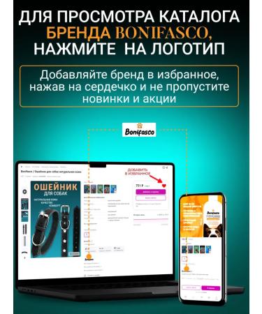 Bonifasco Shampoo for dogs and cats with chlorhexidine 4% and panthenol - Buy Online on GoSupps.com