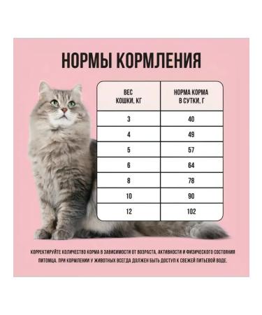 BOWL WOW Dry food for cats turkey and chicken 8kg - Buy Online on GoSupps.com