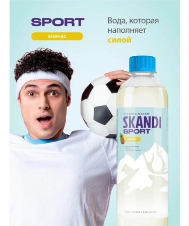 Niagara Premium Skandi "Sport" WSAA drink with amino acids 12 pcs x 0.5 l - Buy Online on GoSupps.com