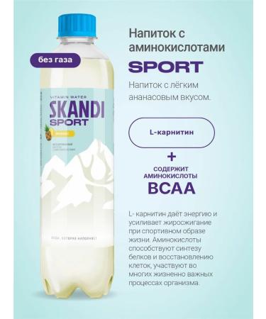 Niagara Premium Skandi "Sport" WSAA drink with amino acids 12 pcs x 0.5 l - Buy Online on GoSupps.com