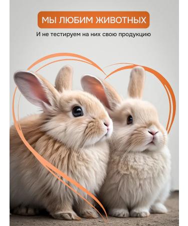 BestKorea shop SS face cream tonal with SPF 50 Korea with niacinamide - Buy Online on GoSupps.com