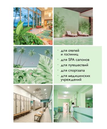 EVI professional Disposable shower gel Green Tea 30 ml 45 pcs - Buy Online on GoSupps.com