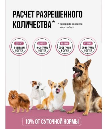 BOWL WOW Slumed treat for dogs and puppies 30g - Buy Online on GoSupps.com