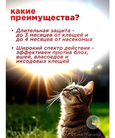 Neoterica Celandine maximum collar from fleas and ticks 3 pcs - Buy Online on GoSupps.com