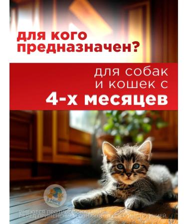 Neoterica Celandine maximum collar from fleas and ticks 3 pcs - Buy Online on GoSupps.com