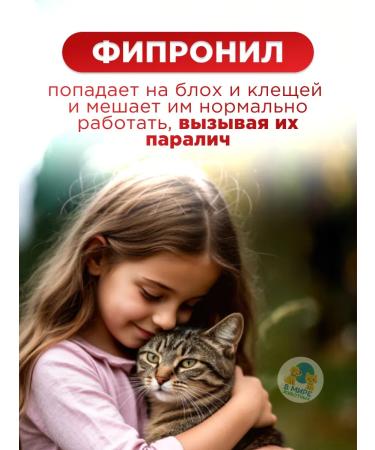 Neoterica Celandine maximum collar from fleas and ticks 3 pcs - Buy Online on GoSupps.com