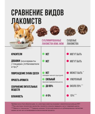 BOWL WOW Slumed treat for dogs and puppies 65g - Buy Online on GoSupps.com