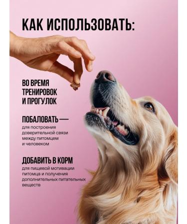 BOWL WOW Slumed treat for dogs and puppies 65g - Buy Online on GoSupps.com