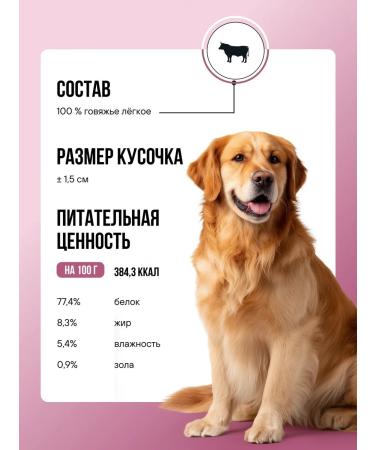 BOWL WOW Slumed treat for dogs and puppies 65g - Buy Online on GoSupps.com