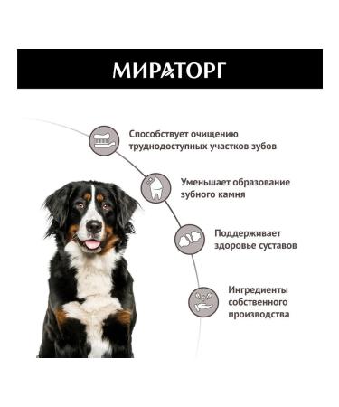 Miratorg A treat for dogs with beef 170 g - Buy Online on GoSupps.com