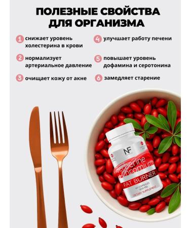 NATURE'S FIT Berberin capsule for weight loss 500ml - Buy Online on GoSupps.com