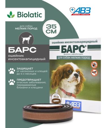 AVZ Bars collar for dogs of small breeds 35 cm