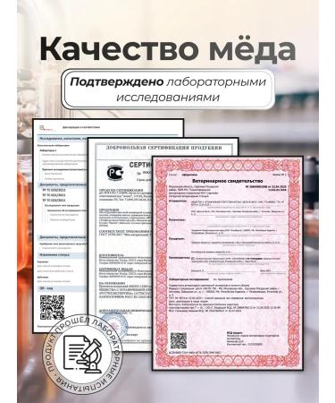 Cream-make-free cedar nuts 100 g 2 pcs - Buy Online on GoSupps.com