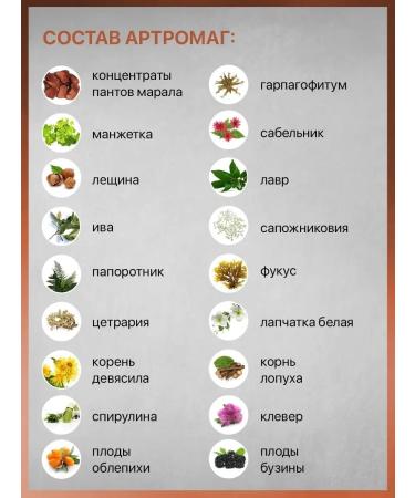 Altaimag Arthrome complex for joints and ligaments from pain 10 capsules - Buy Online on GoSupps.com