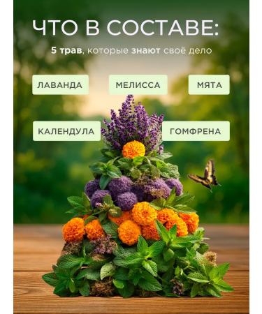 Chekhov's estate Herbal collection cleansing from edema herbal tea - Buy Online on GoSupps.com