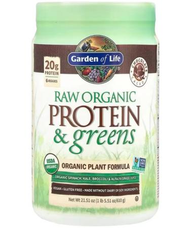 Garden of Life RAW Organic Vegeted Protein Chocolate 610 g - Buy Online on GoSupps.com