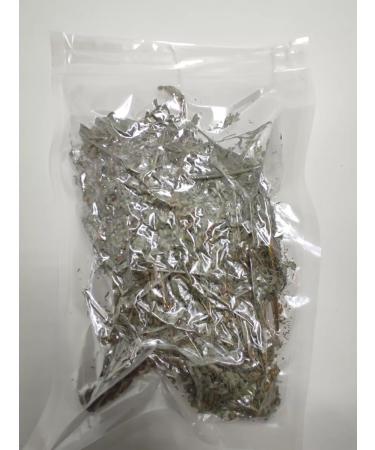 From Nature - SHOP Wormwood Gorky Grass Collection 2025 - Buy Online on GoSupps.com