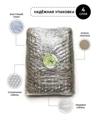 From Nature - SHOP Wormwood Gorky Grass Collection 2025 - Buy Online on GoSupps.com