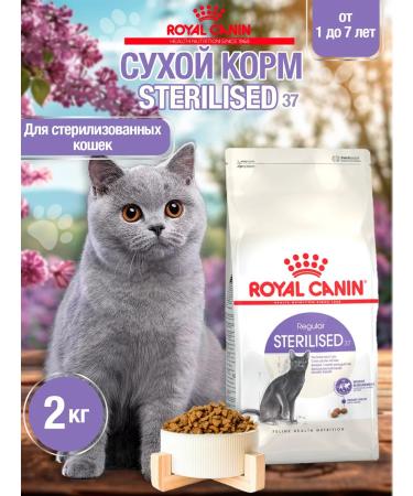 ROYAL CANIN Dry food for cats Sterilized 37 (sterilizhez 37) 2kg