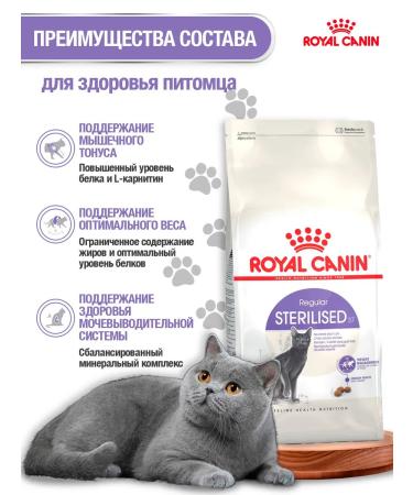 ROYAL CANIN Dry food for cats Sterilized 37 (sterilizhez 37) 2kg - Buy Online on GoSupps.com