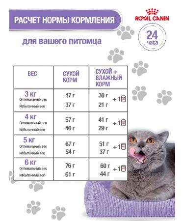 ROYAL CANIN Dry food for cats Sterilized 37 (sterilizhez 37) 2kg - Buy Online on GoSupps.com